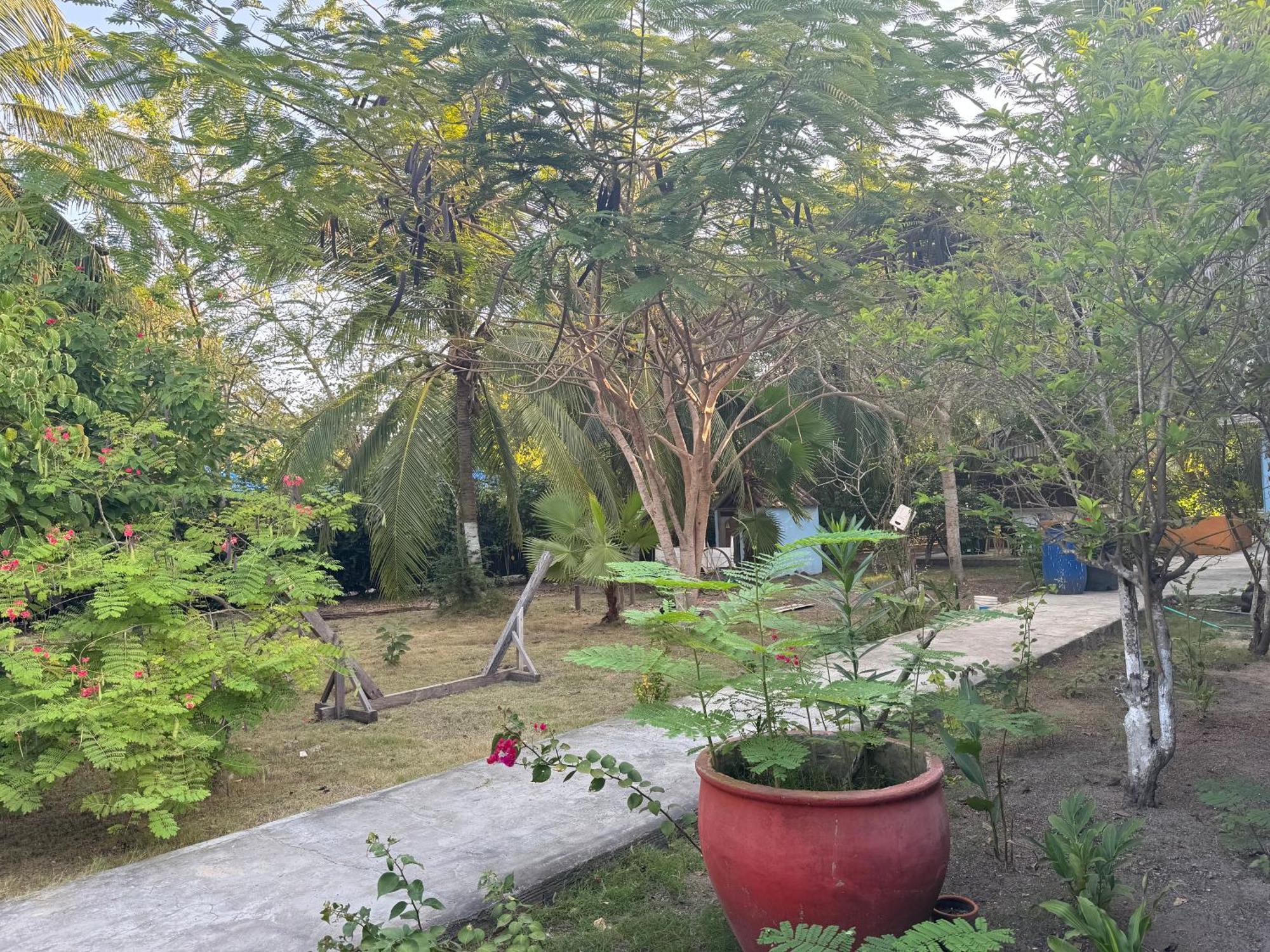 Casa Lolas House By Ctglifetravelers Isla Grande  Zewnętrze zdjęcie